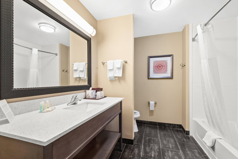 Bathroom 4, Quality Inn & Suites Pearsall, Frio