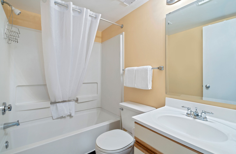 Bathroom 3, Palace Resort, Horry