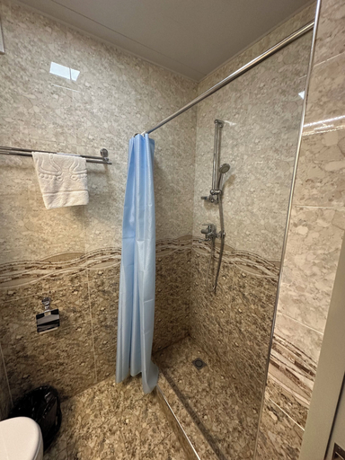 Bathroom 4, Artist Regency Hotel, Tashkent City