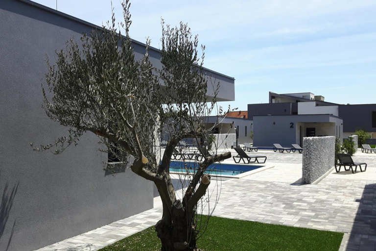 Others 1, Villas Resort in Vir with pool, Vir