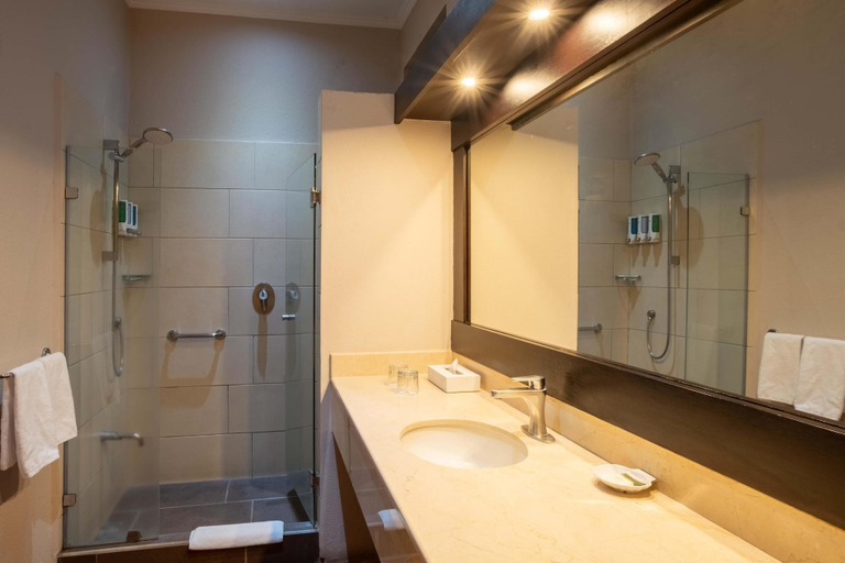 Bathroom 5, Occidental Papagayo - Adults Only - All Inclusive, Carrillo