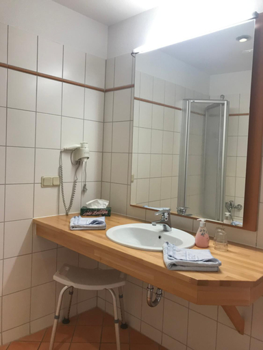 Bathroom 3, Hotel Johannishof, Harz