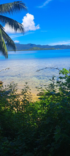 Others 5, The View - Jungle Lodges - Port Barton, San Vicente