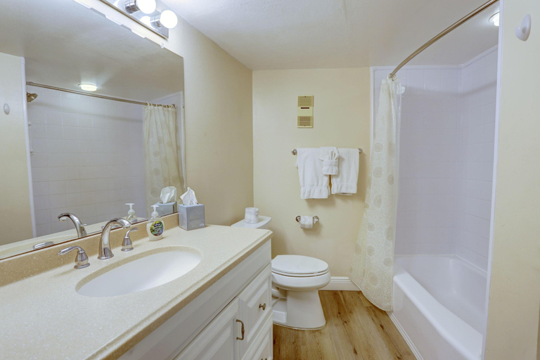 Bathroom, Land's End 1-202 Bay Front, Pinellas
