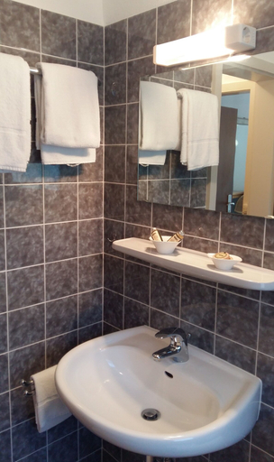 Bathroom 5, Landgasthof Grüner Baum, Breisgau-Hochschwarzwald
