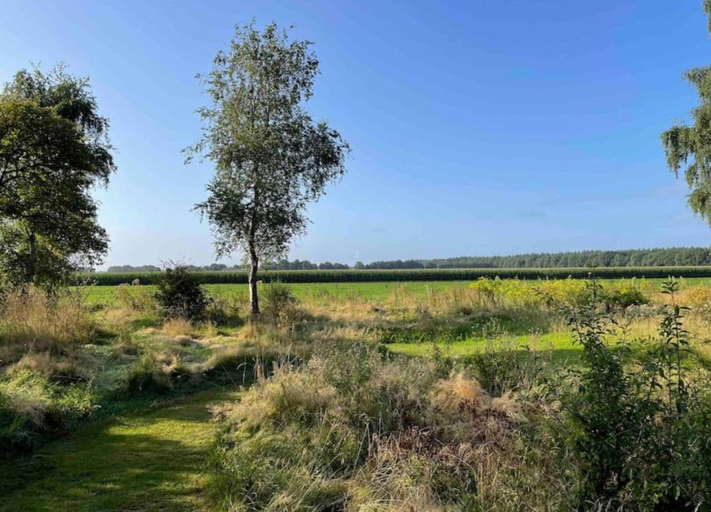 Others 5, Forest Stay with Shared Pool, Borger-Odoorn