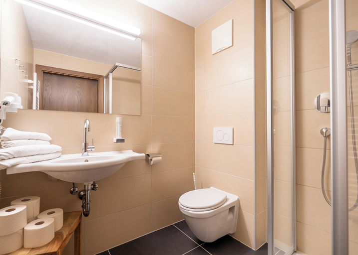 Bathroom 4, DAS Hubertus Apartments in Schladming, Liezen