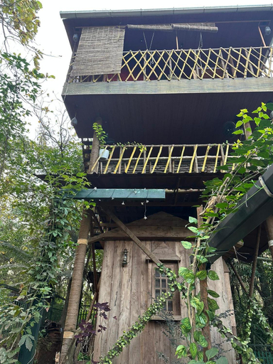 Others 4, Ela Forest Stay, Idukki