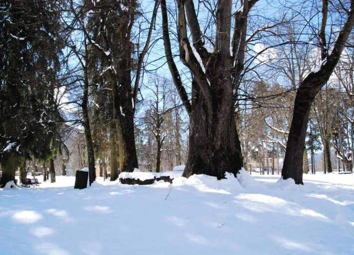 View from property 2, Pet-friendly Mountain Home, Trento