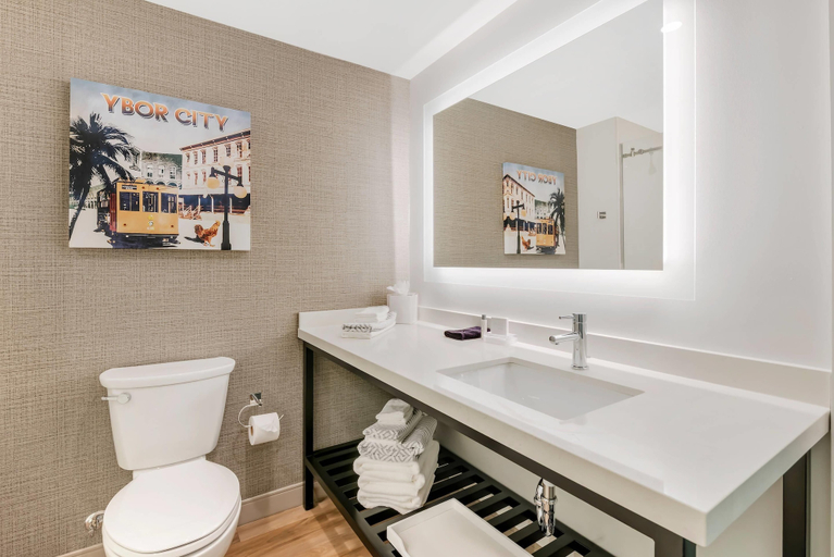 Bathroom 4, Cambria Hotel Tampa-Brandon, Hillsborough