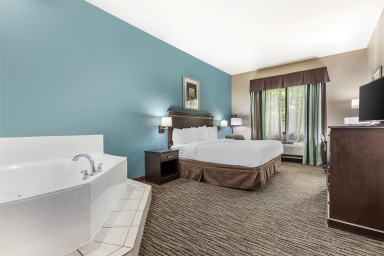Bedroom 3, Best Western Mineola Inn, Wood