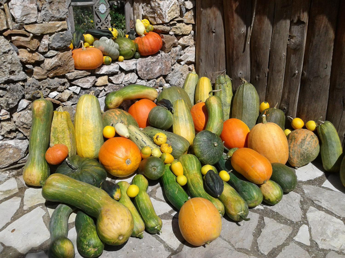 Food & Drinks 5, Akrothea Hotel, Peloponnese