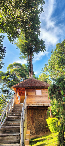 Exterior & Views 2, Agandi Uganda Eco-lodge, Rubanda