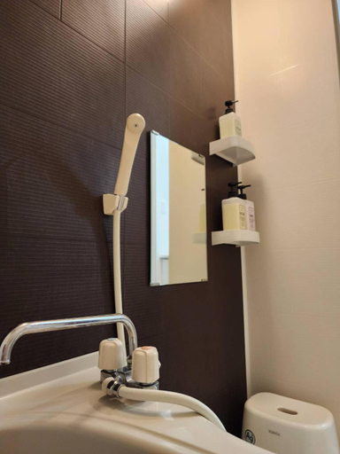Bathroom 2, PRISM Inn Komagata Asakusa, Taitō