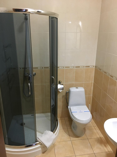 Bathroom 5, Готель Леон, Novohrad-Volyns'ka