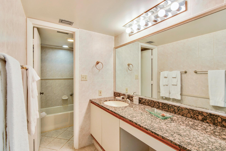 Bathroom 4, Land's End 8-301 Beach Front, Pinellas