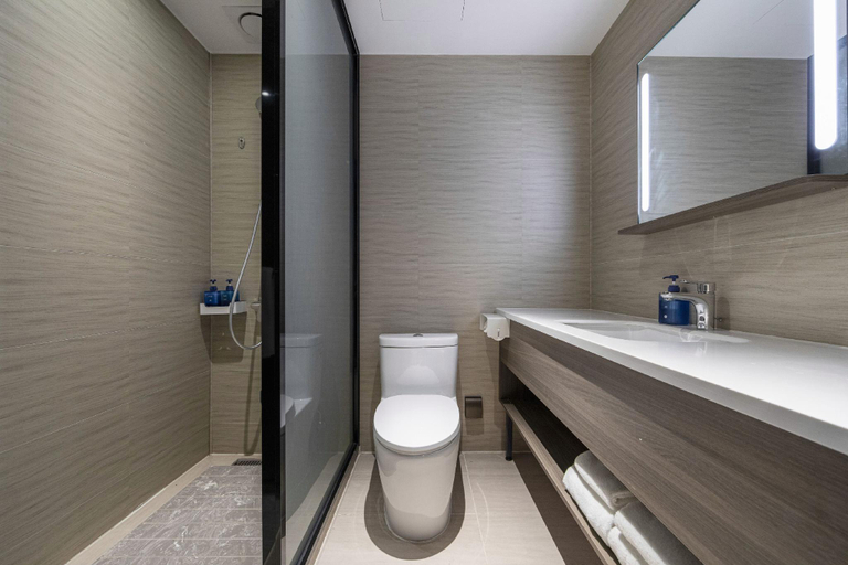 Bathroom 3, Hanting Hotel Shanghai Dapuqiao Metro Station, Shanghai