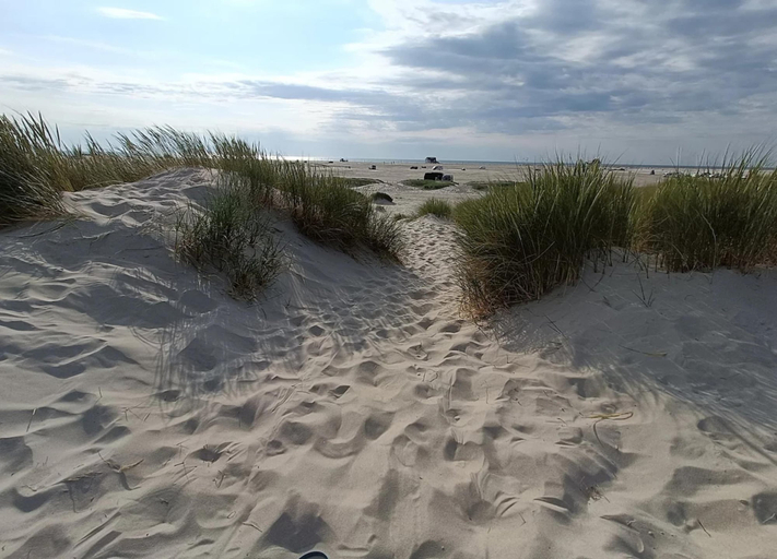View from property 5, Ferienwohnung Strandperle, Nordfriesland