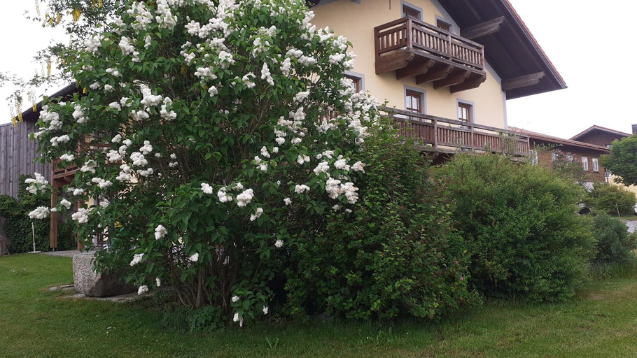 Others 5, Gasthof Zur Alten Post, Freyung-Grafenau