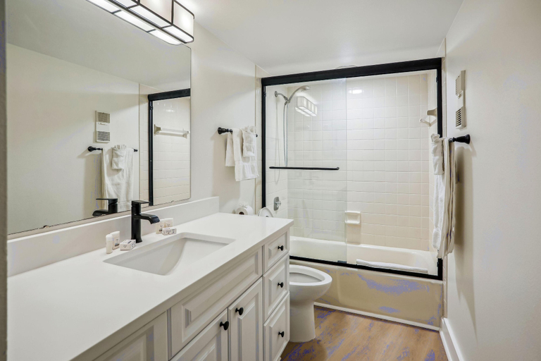 Bathroom 5, Land's End 1-406 Bay Front - Premier, Pinellas