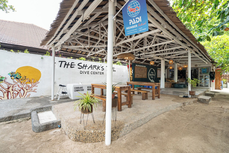 Exterior & Views 2, The Sharks Tail Dive Resort, Daanbantayan