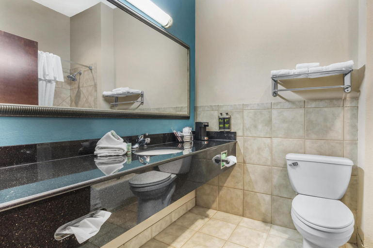 Bathroom 4, Best Western Mineola Inn, Wood