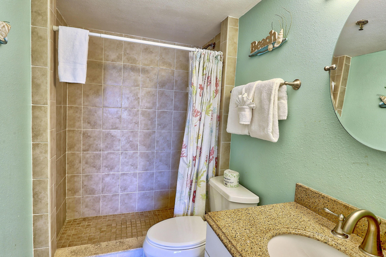 Bathroom 4, Sea Club #405 - Manatee Zone, Pinellas