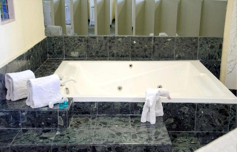 Bathroom 3, REAL DEL SUR HOTEL, Mexico City