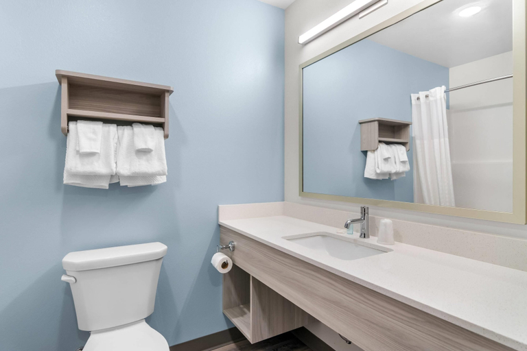 Bathroom 4, Woodspring Suites Elkhart, Elkhart