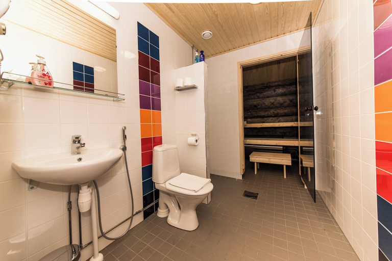 Bathroom 5, Kakslauttanen Arctic Resort, Lapland
