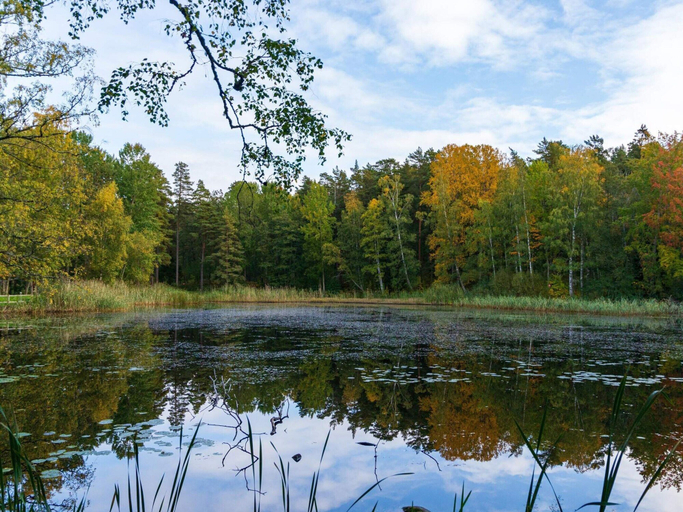Miscellaneous 2, 4 Star Holiday Home in Bredaryd, Värnamo
