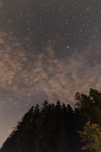 Others 5, Heselehof Waldchalets, Bruck-Mürzzuschlag