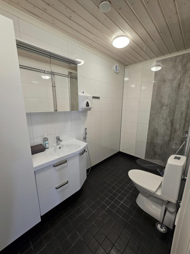 Bathroom 3, Giellajohka, Lapland