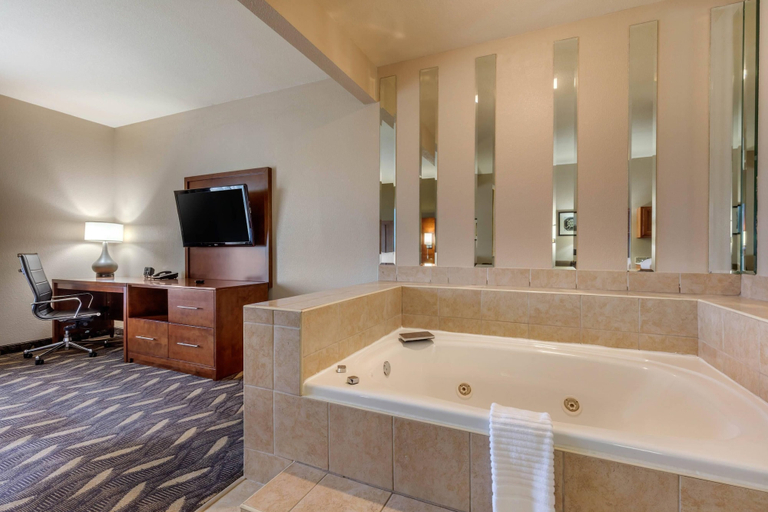Bathroom 4, Comfort Suites Rolla, Phelps