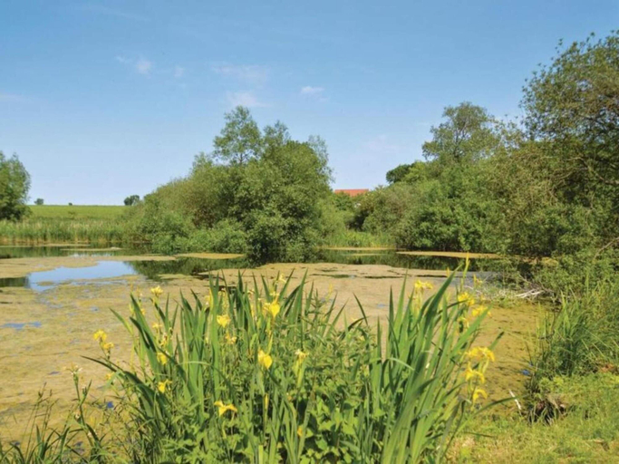 Others 5, 5 Star Holiday Home in Stege, Vordingborg