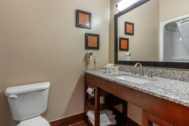 Bathroom 4, Comfort Suites Rolla, Phelps
