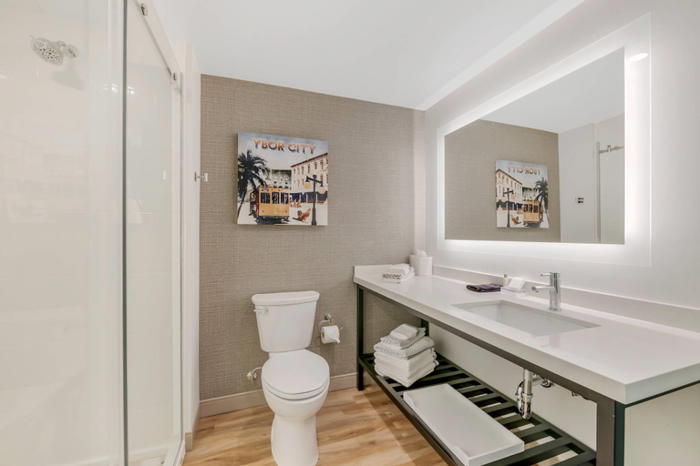 Bathroom 4, Cambria Hotel Tampa-Brandon, Hillsborough