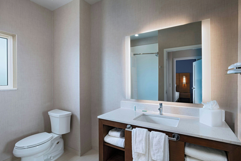 Bathroom 4, Residence Inn by Marriott Georgetown, Williamson