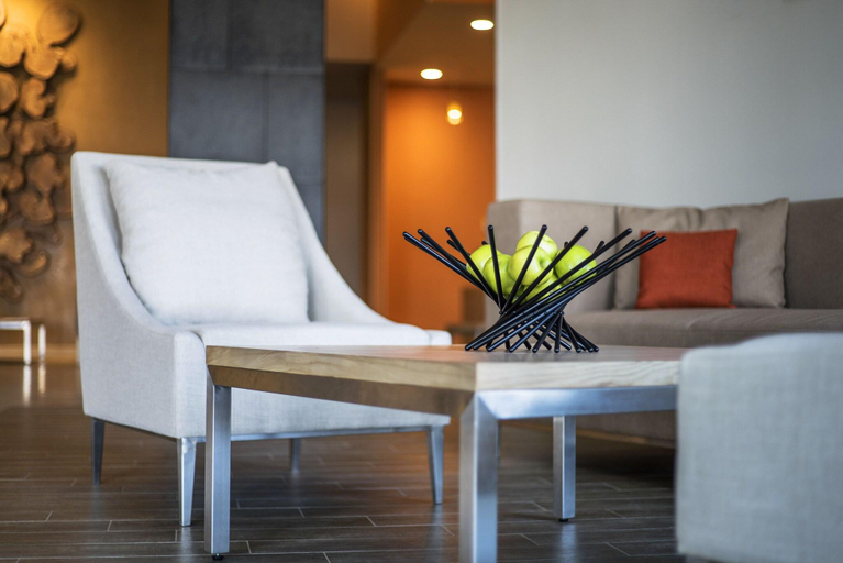 Public Area 2, Hyatt Place Managua, Managua
