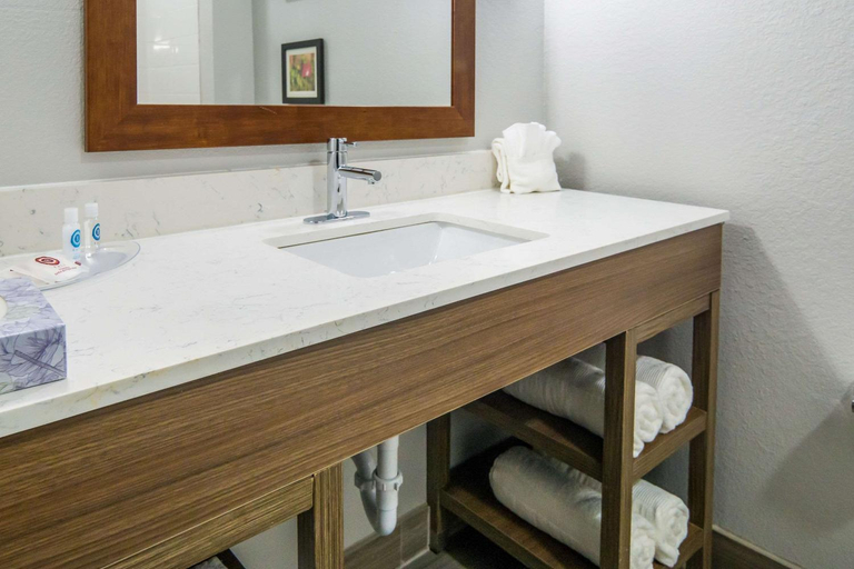 Bathroom 4, Comfort Suites DeSoto Dallas South, Dallas