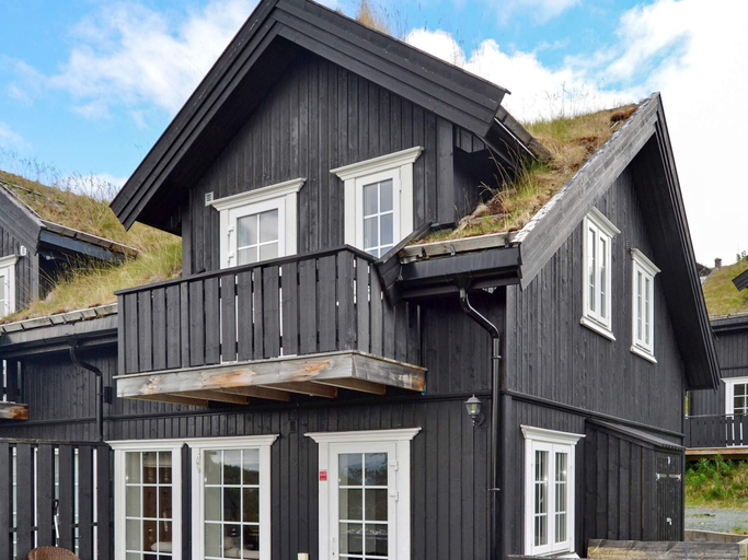 Exterior 2, 4 Star Holiday Home in Rauland, Vinje