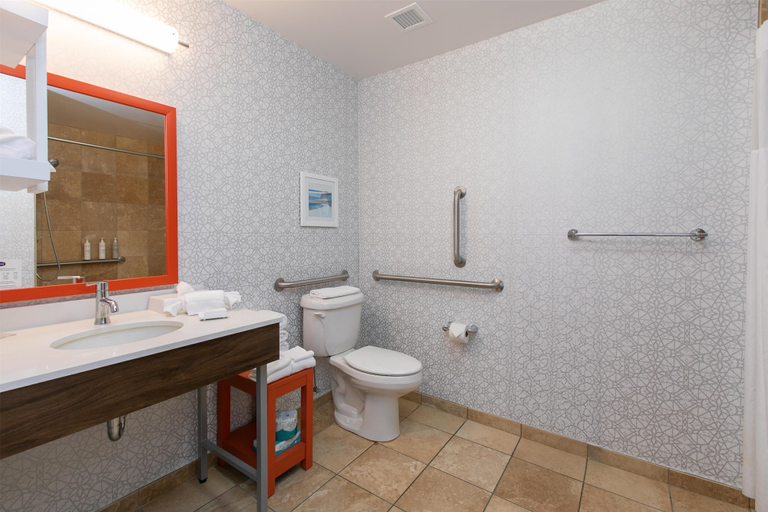 Bathroom 4, Hampton Inn & Suites Wilder, Campbell
