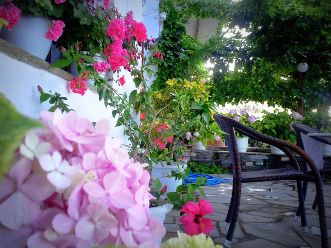 Others 2, Hotel Evripides, Thessaly