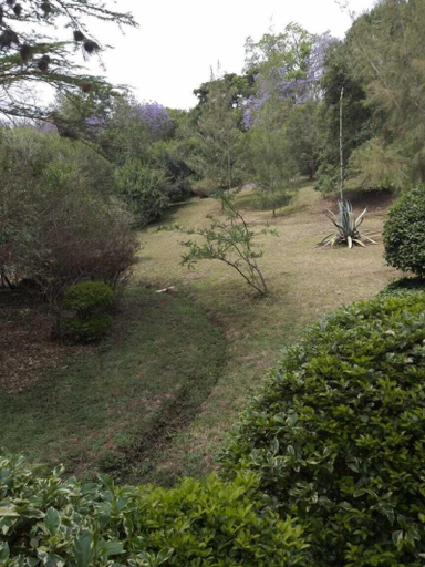 Others 5, Savannah Garden Resorts Limited, Langata