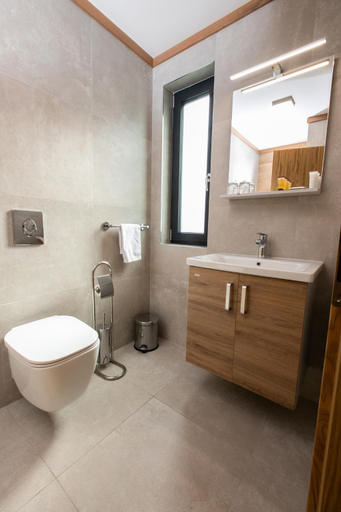 Bathroom 3, Kozjanski dvor, Kozje
