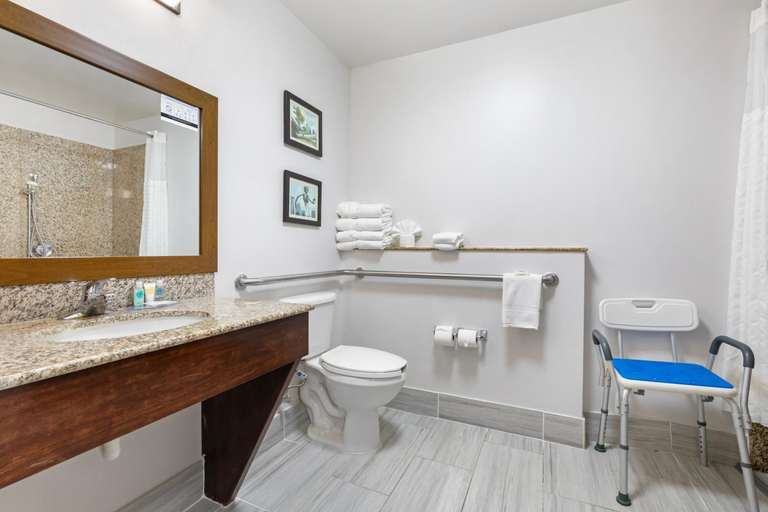 Bathroom 4, Comfort Suites DFW North/Grapevine, Tarrant