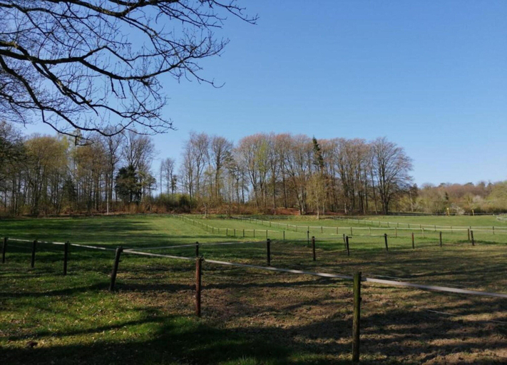 Others 5, Peaceful Retreat in Ferrieres, Liège