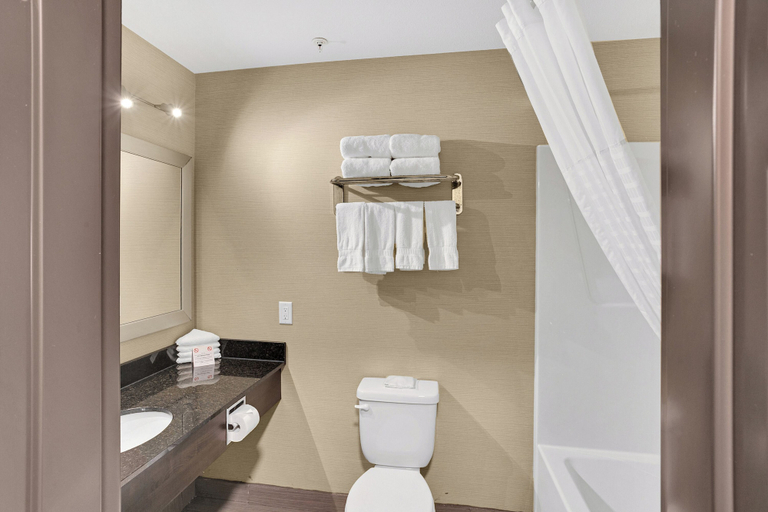 Bathroom, Duvernay Inn & Suites, Division No. 18