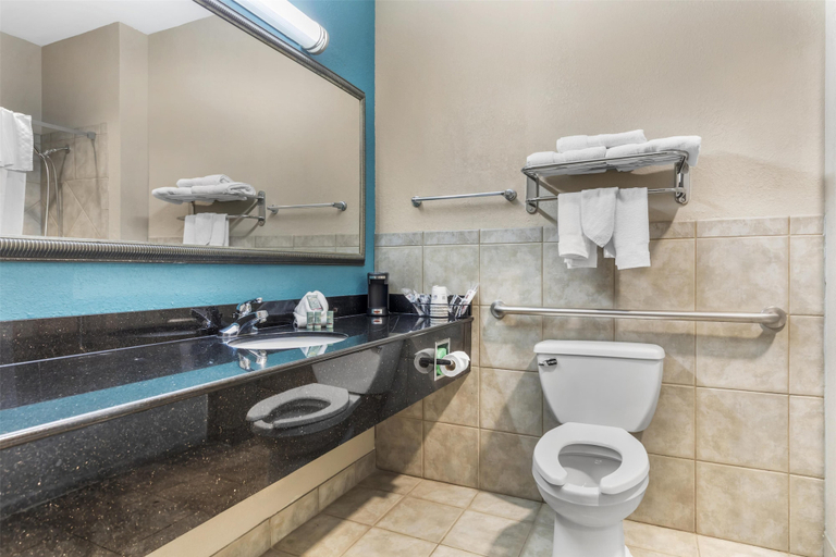 Bathroom 4, Best Western Mineola Inn, Wood