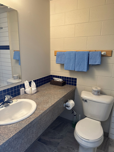 Bathroom, Saddle Mountain Lodge, Thompson-Nicola
